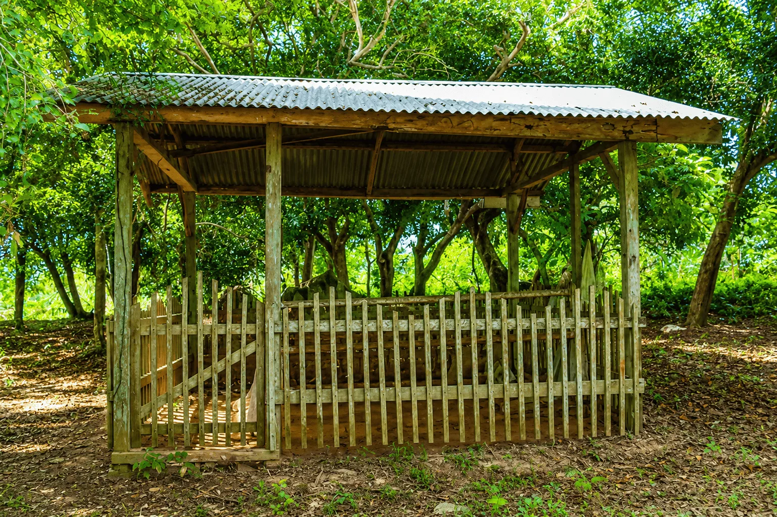 Makam Putroe Nur Khadimah