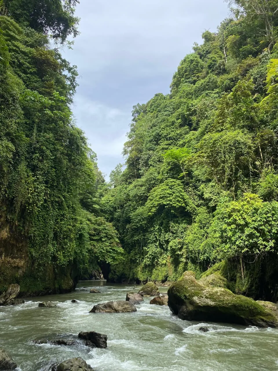Telaga Jernih, Jamur Atu
